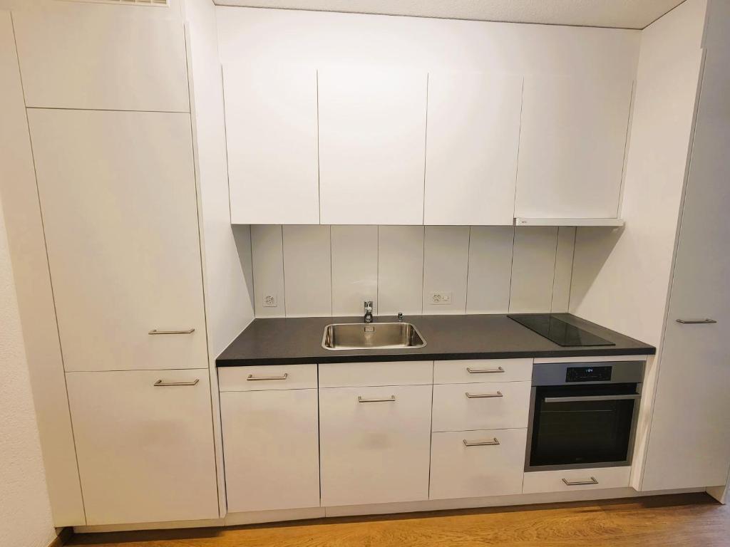 Zurich City Center Apartments next to Zurich HB Main Train Station LA - Self Checkin - Resim 16