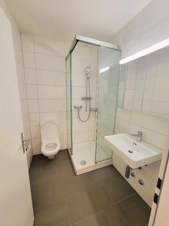 Zurich City Center Apartments next to Zurich HB Main Train Station LA - Self Checkin - Resim 19