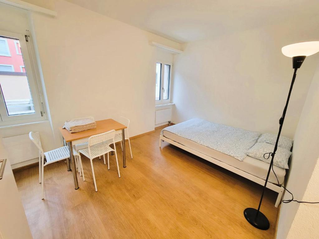 Zurich City Center Apartments next to Zurich HB Main Train Station LA - Self Checkin - Resim 17