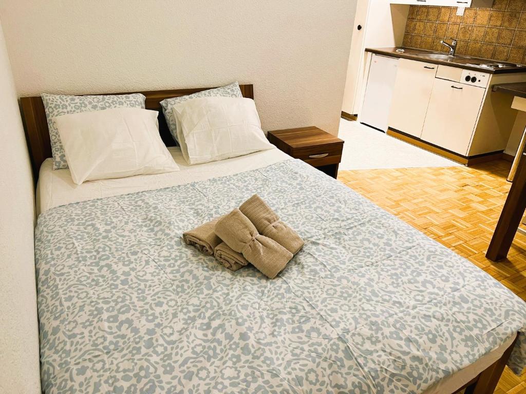 Zurich City Center Apartments next to Zurich HB Main Train Station LA - Self Checkin - Resim 29