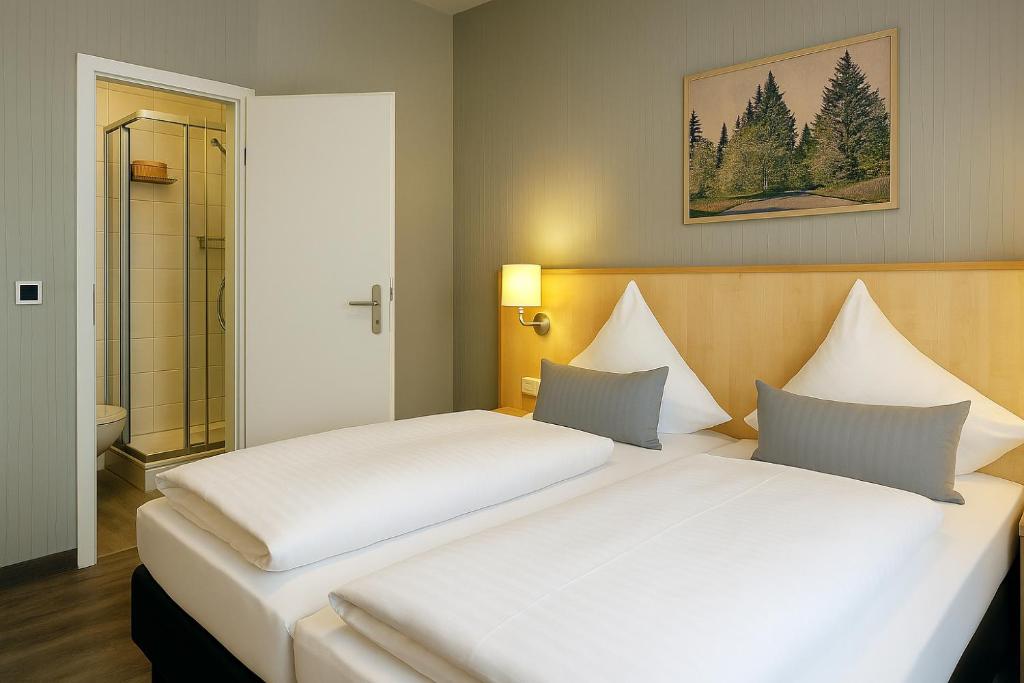 Konsum Berghotel Oberhof - Deluxe Double Room