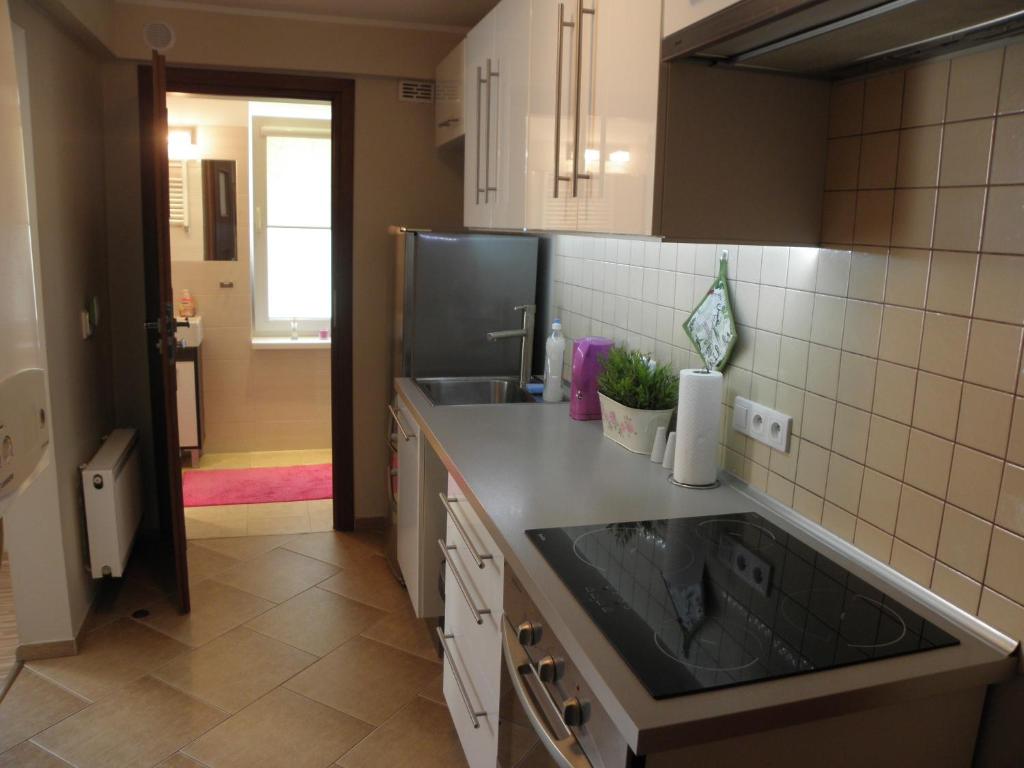 Kuchyň nebo kuchyňský kout v ubytování Apartament Sopot Oliwia