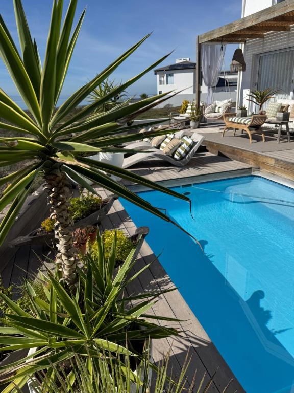 a pool with a palm tree next to a house at 105 on Beach, Flamingo Room in Stompneusbaai