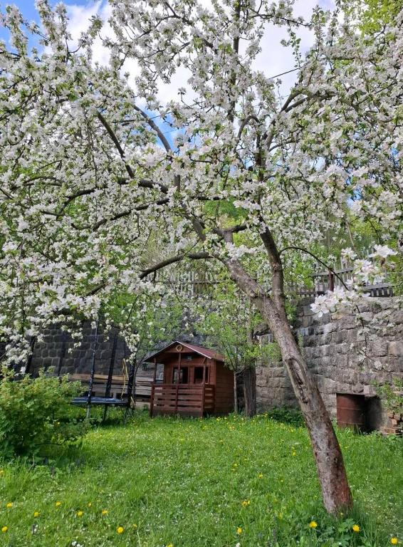 Ogród w obiekcie Holiday house Vedle