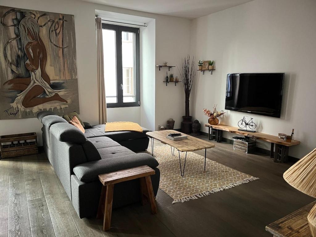 un salon avec un canapé et une télévision dans l'établissement Appartement cœur de ville Ajaccio, à La Celle-sous-Gouzon