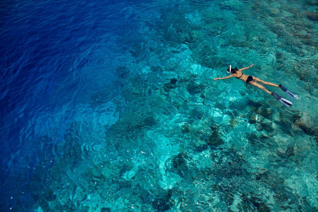 Dusit Thani Maldives - Mudhdhoo Island, Baa Atoll - View 32
