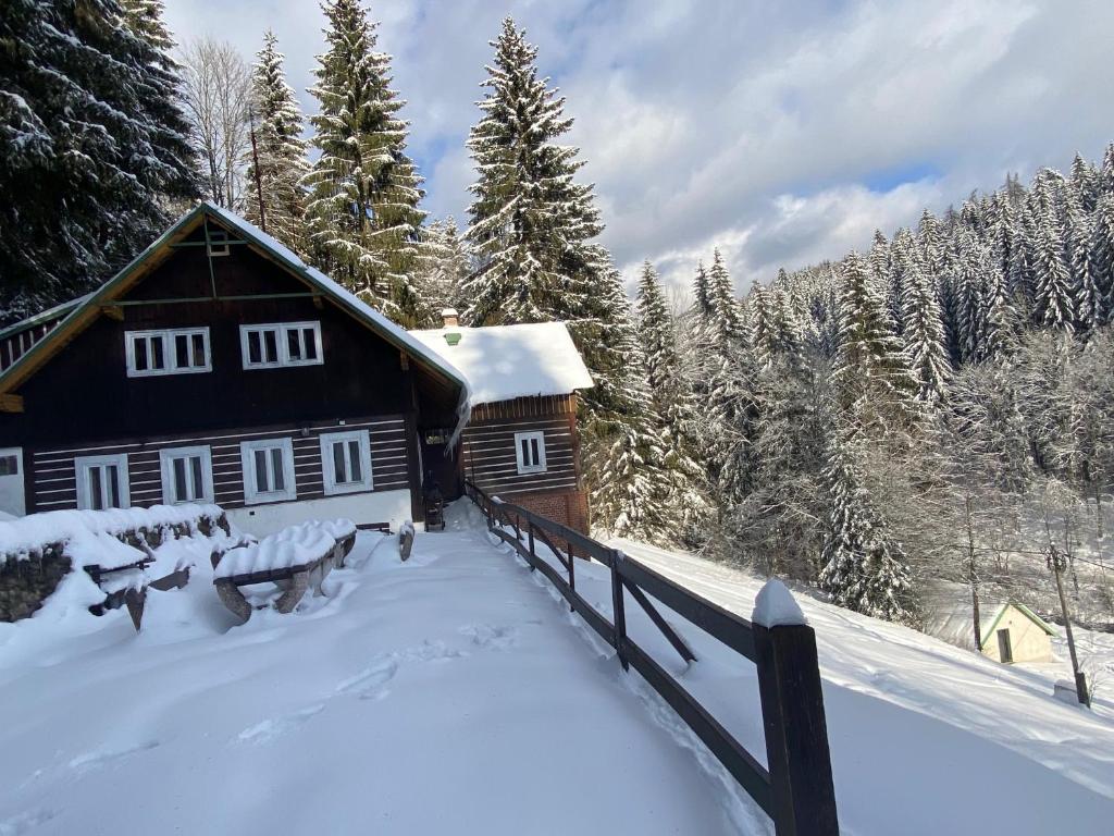 a cabin in the snow with snow covered trees at Chata v Krkonoších, 6 rooms, 25 beds in Vítkovice