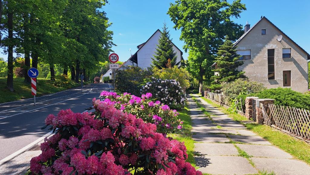a street with flowers on the side of the road at Ferienwohnung zentrale Lage Parkplatz kostenlos Grill Terrasse Fahrradraum Kromlau in Kromlau
