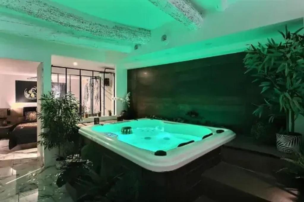 une baignoire jacuzzi dans une chambre avec des lumières vertes dans l'établissement Appartement charmant à Pignans - 46 m² avec jacuzzi, à Pignans