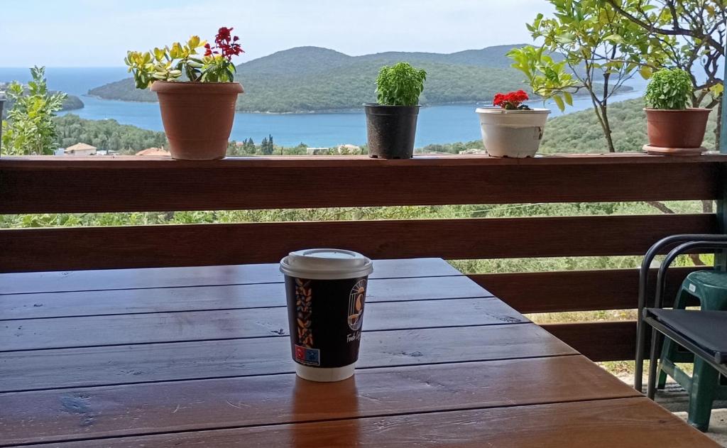 a cup of coffee sitting on a wooden table with potted plants at Charoula's Apartments in Syvota