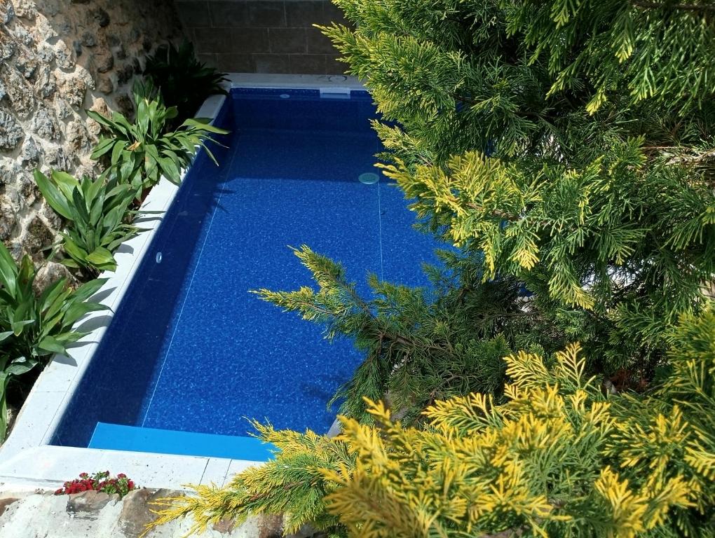 a blue swimming pool in a garden with plants at Casita para dos con piscina privada in Torres