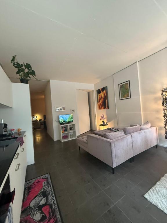 LOFT by Messe Basel with a Garden and 24h Service - Resim 1