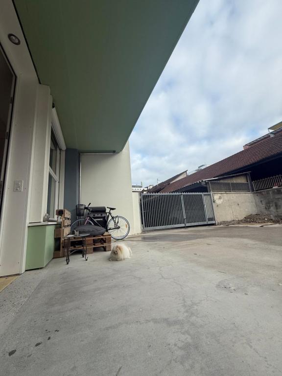 LOFT by Messe Basel with a Garden and 24h Service - Resim 9