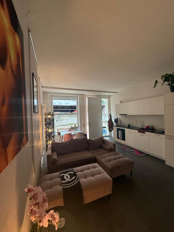 LOFT by Messe Basel with a Garden and 24h Service - Resim 5
