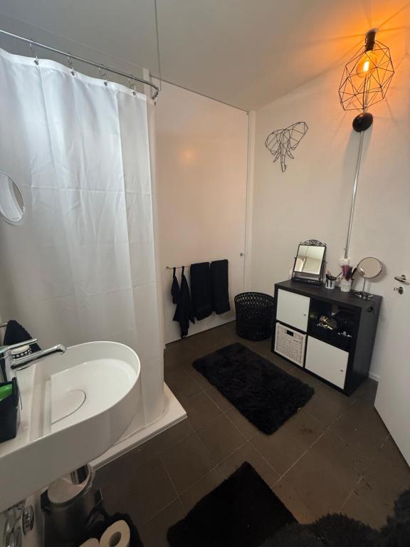 LOFT by Messe Basel with a Garden and 24h Service - Resim 3