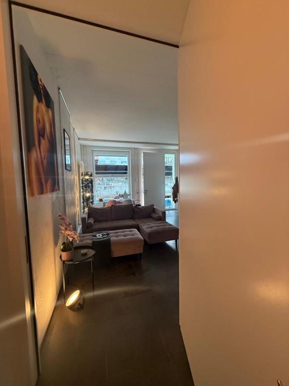 LOFT by Messe Basel with a Garden and 24h Service - Resim 11