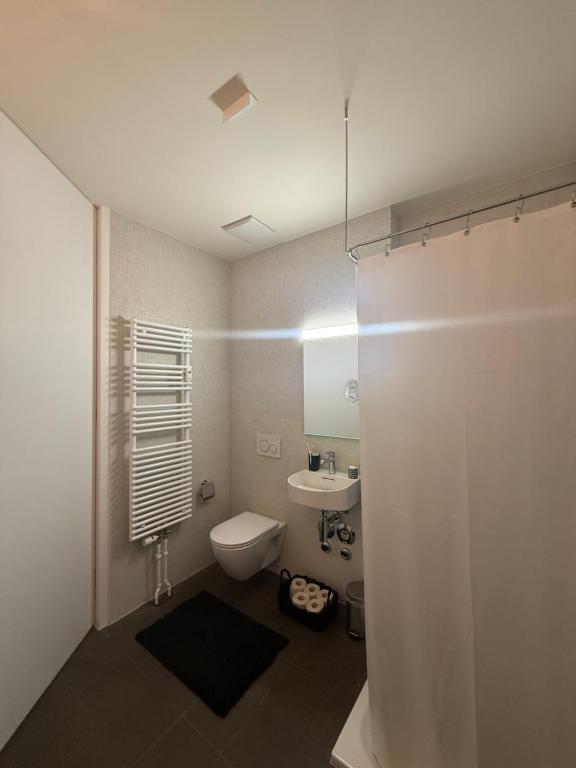 LOFT by Messe Basel with a Garden and 24h Service - Resim 13