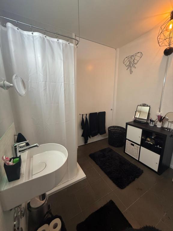 LOFT by Messe Basel with a Garden and 24h Service - Resim 6