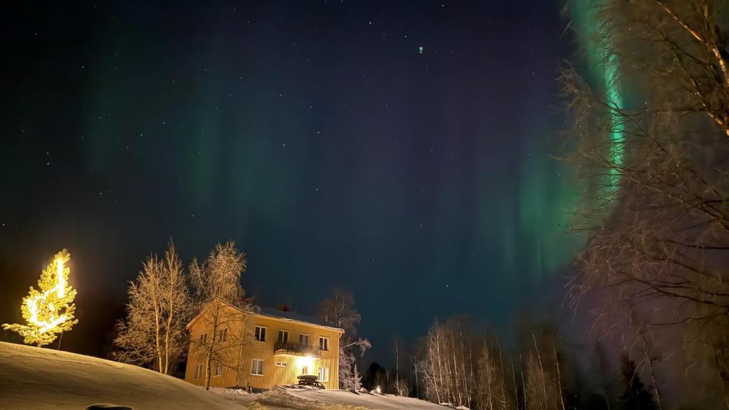 Příroda nedaleko apartmánu