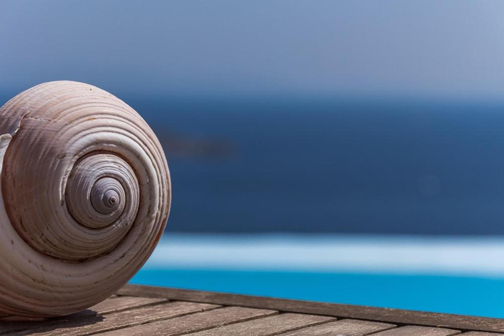 a coil of wood sitting on a table next to a pool at villa Agnantia, Leros in Lakkíon