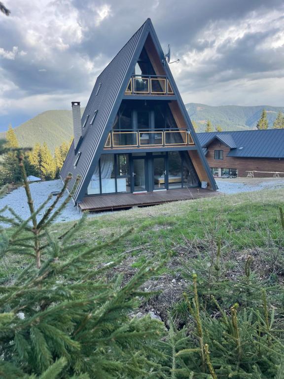 a house with a triangular roof on top of a field at Cabana Piatra Codrilor in Sunători