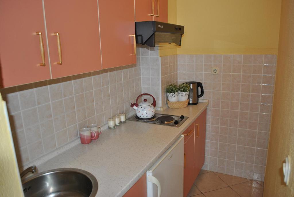 Kuchyň nebo kuchyňský kout v ubytování Apartment Mime