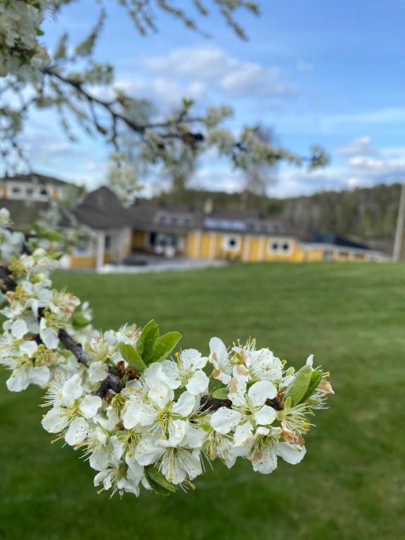 Zahrada ubytování Skönero, Valdemarsvik