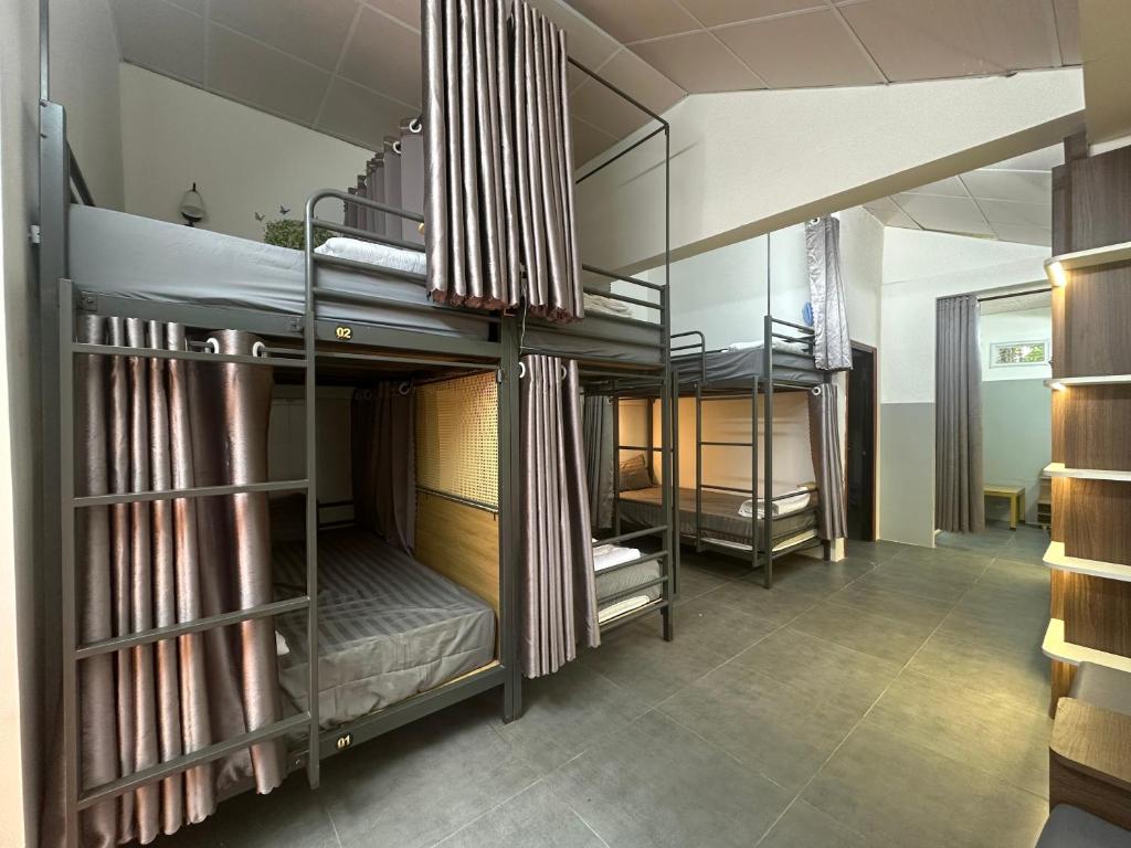 un groupe de lits superposés dans une pièce dans l'établissement Mon's House, à Cư Chinh