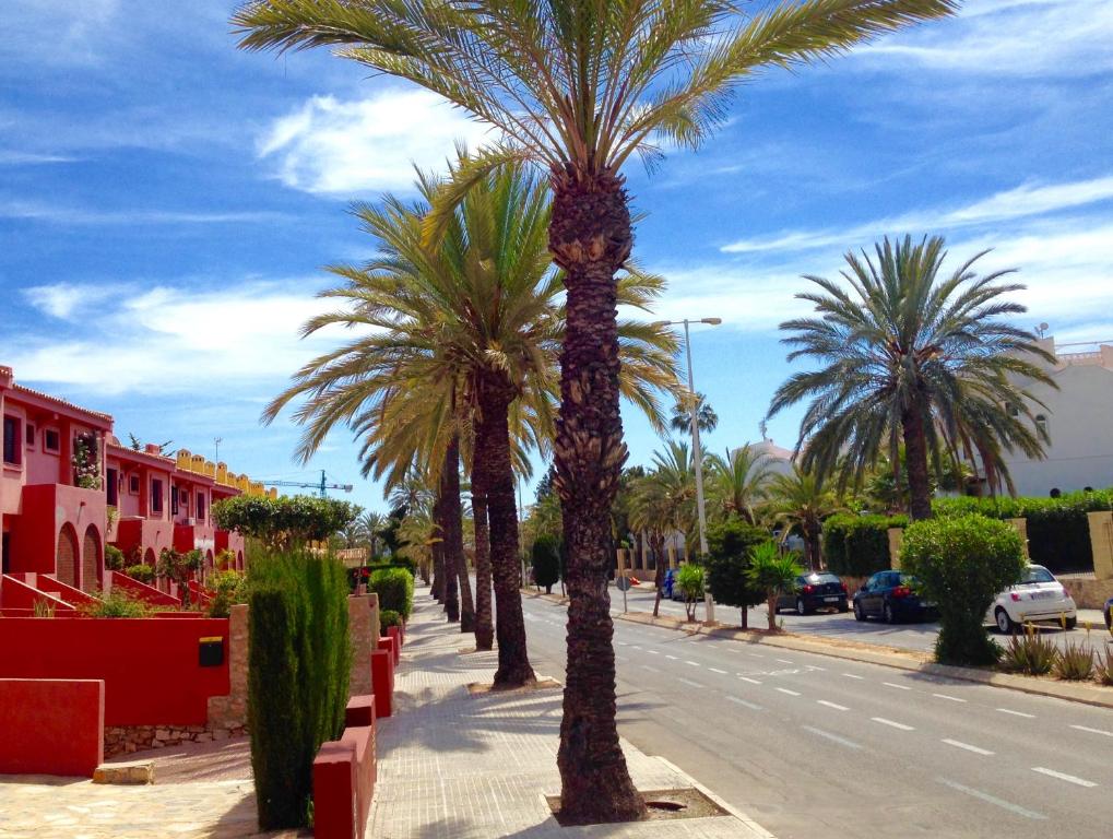 una fila de palmeras en una calle de la ciudad en Holiday home del Cabo, en Playas de Orihuela