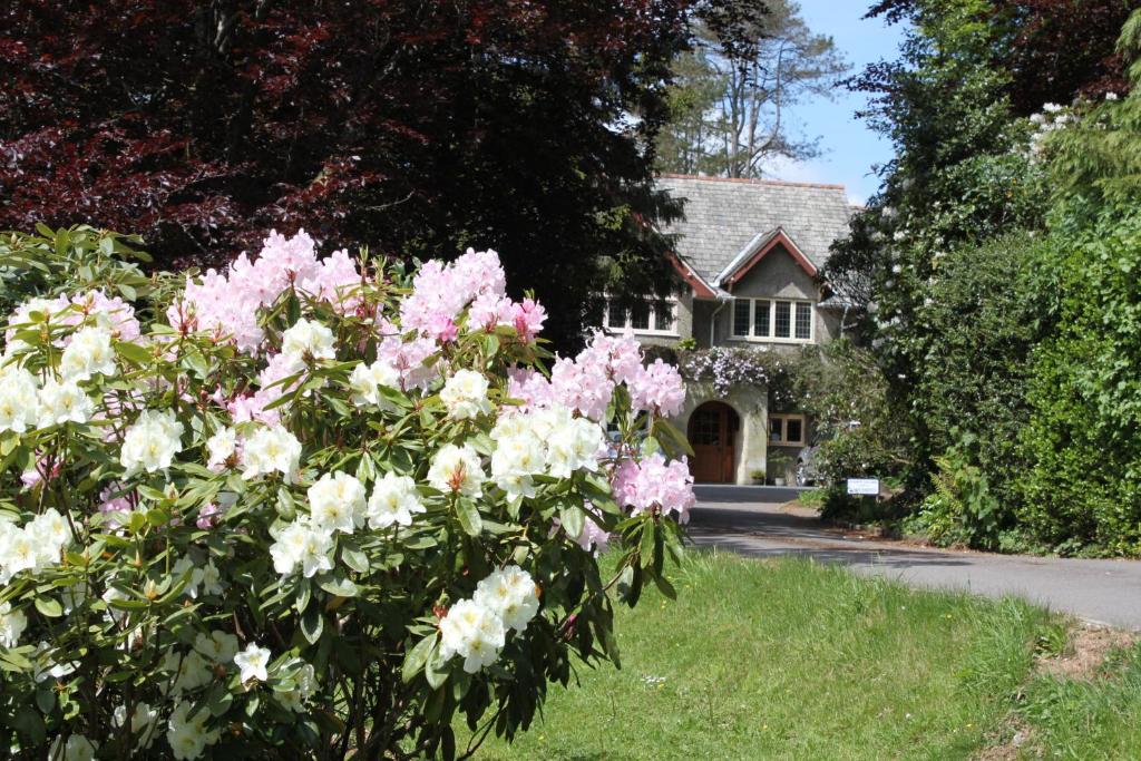 ein Haus mit rosa und weißen Blumen davor in der Unterkunft Knapp House Lodges in East Anstey