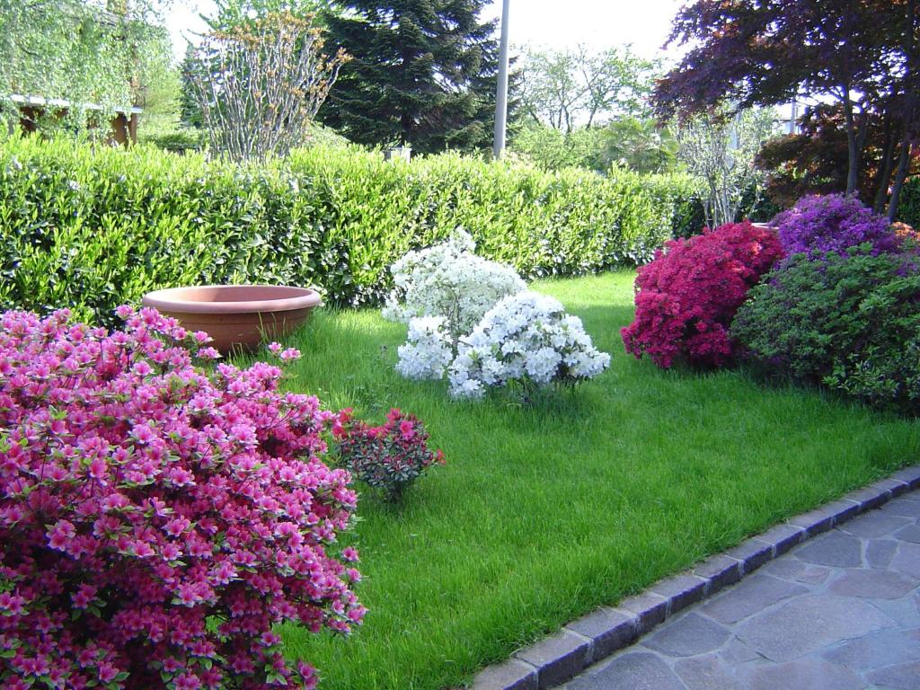 Zahrada ubytování Airone Monvalle Lago Maggiore