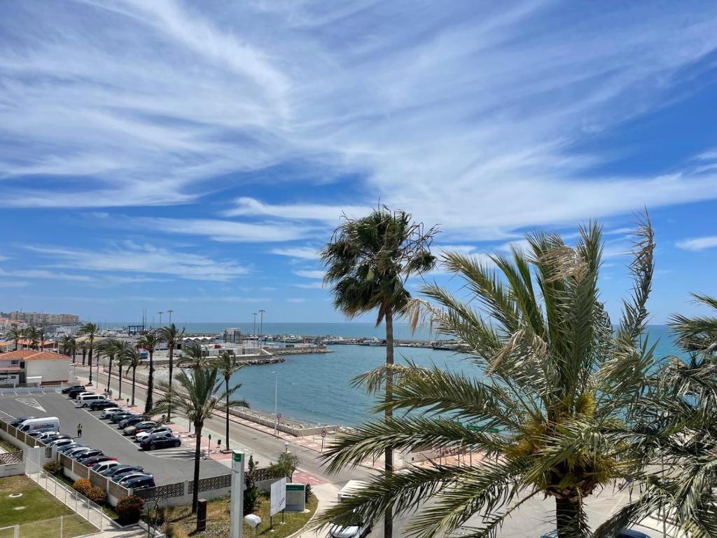 ベレス・マラガにあるTerrasol Puerto Blanco 5のヤシの木と水の海岸