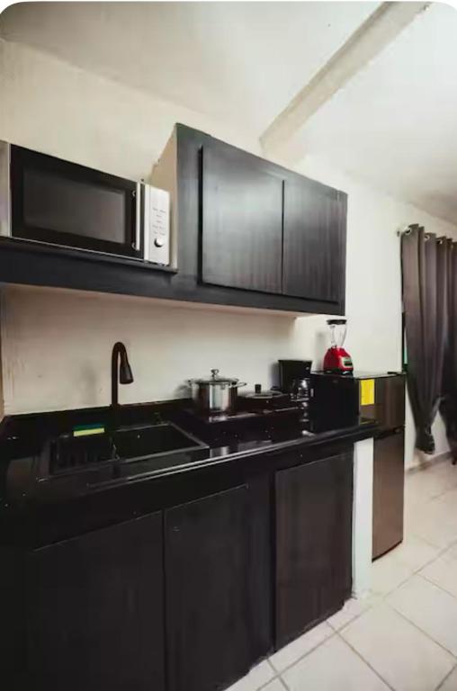 a kitchen with black cabinets and a microwave at Departamentos Los Cabos 1 in San José del Cabo