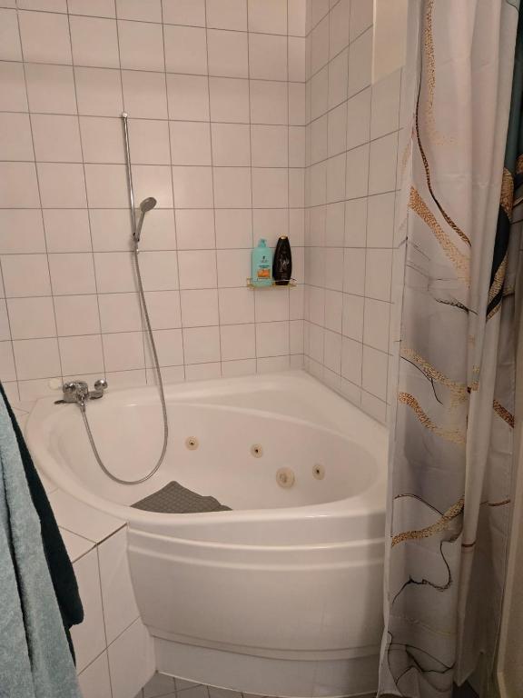 LaCasa-Mia Apartment Basel - Resim 19