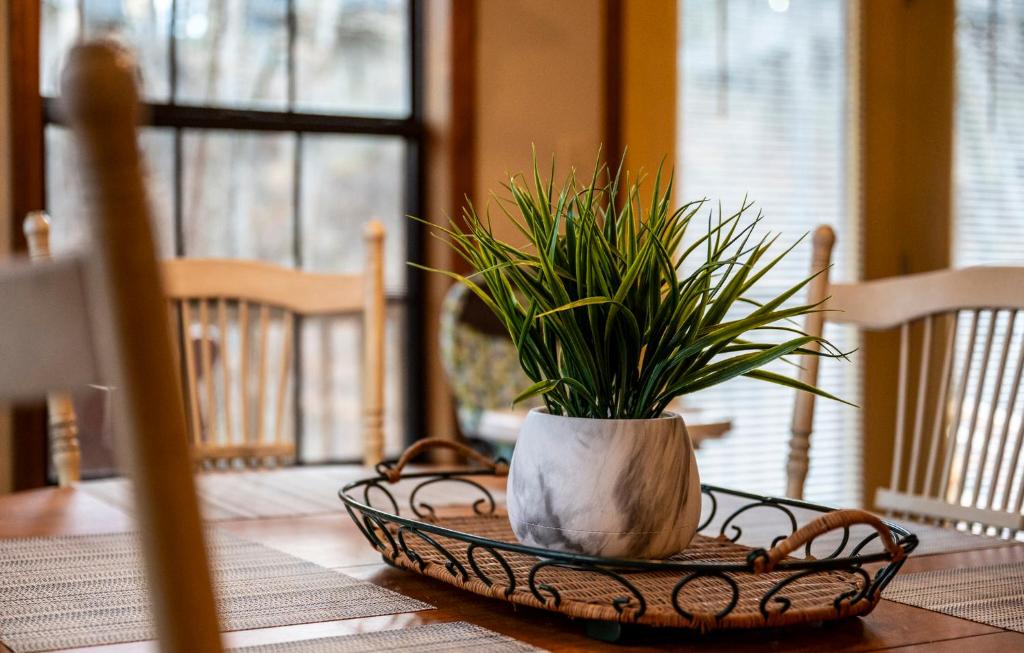 a plant in a basket on a table at Lazy Dayz by Avada Properties in Pigeon Forge