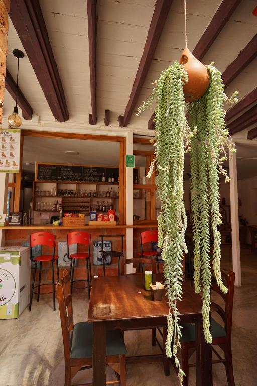Posezení v ubytování La Oculta Hostal