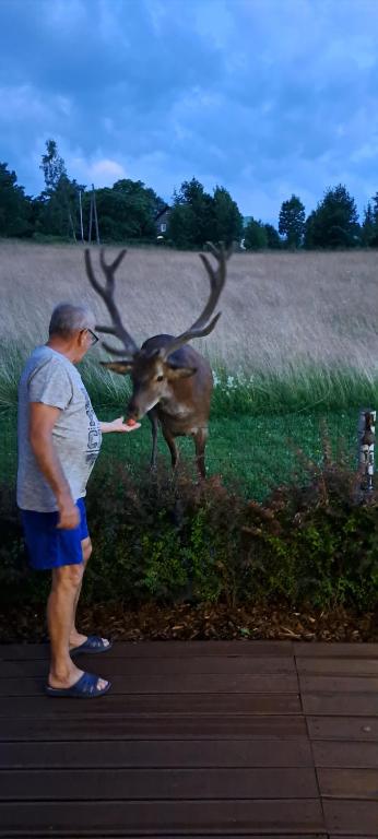 Zvířata v chaty nebo okolí