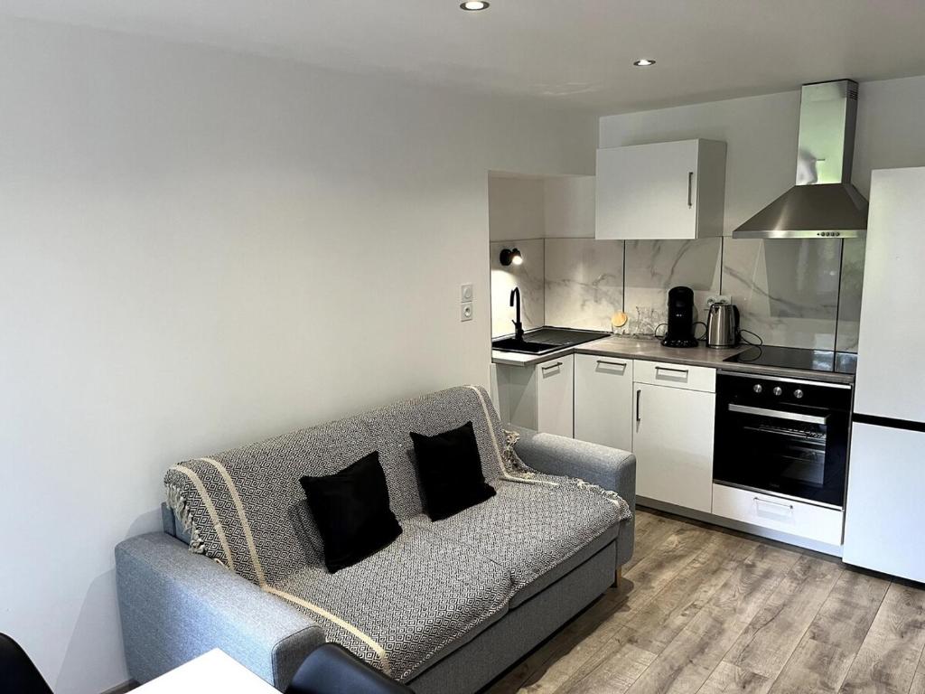 un salon avec un canapé et une cuisine dans l'établissement Cosy Appartement - Verrens-Arvey, à Verrens-Arvey