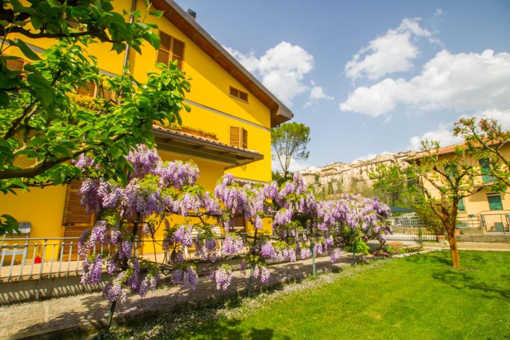 Zahrada ubytování B&B I Narcisi