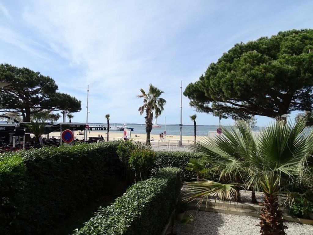 une vue sur une plage avec des palmiers et l'océan dans l'établissement Résidence Bougainvilliers - Arcachon, front de mer au cœur de l’hyper-centre. MAE-9264, à Arcachon