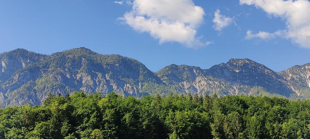 Sofias Apartment - 19