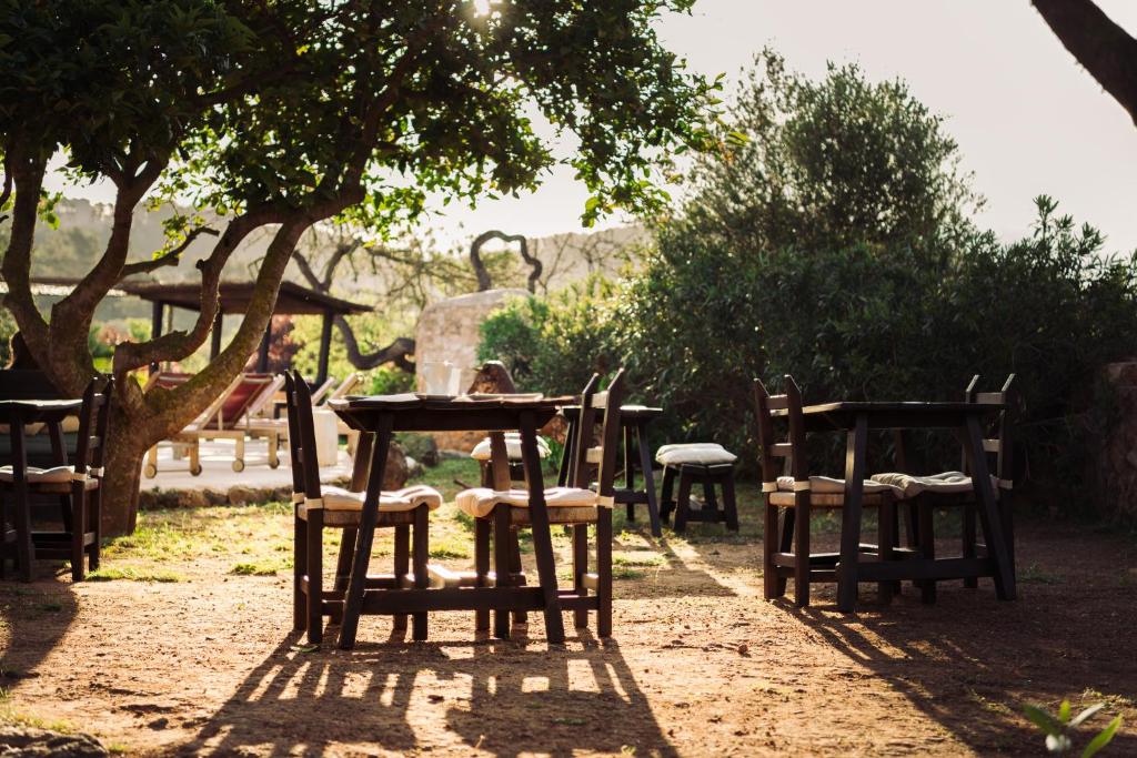 Zahrada ubytování Hotel Rural Can Partit Adults Only-Ibiza