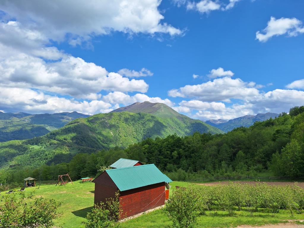 um celeiro num campo com montanhas ao fundo em Kolibe Ćorić em Mojkovac