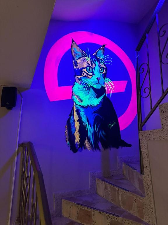 Fotografie z fotogalerie ubytování Gato Neon Hostel v destinaci Bogotá