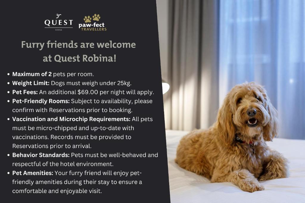 Quest Robina - Resim 42