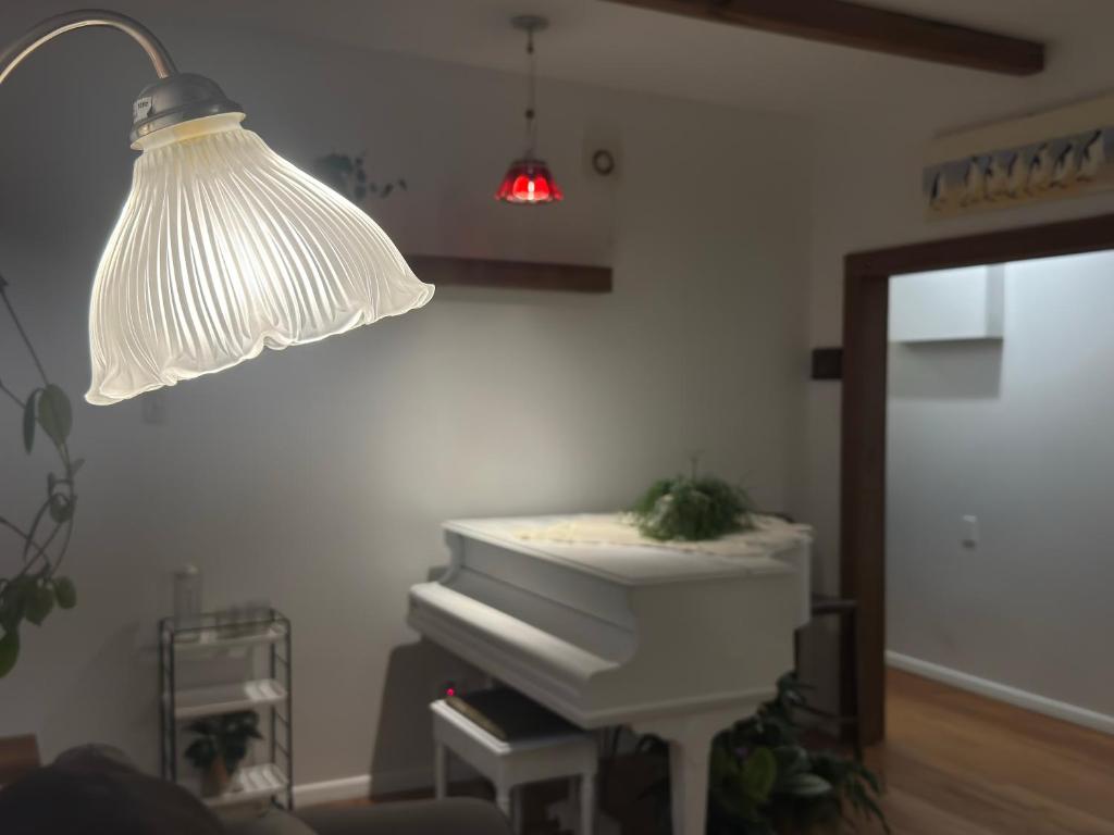 White Oasis - Resim 33