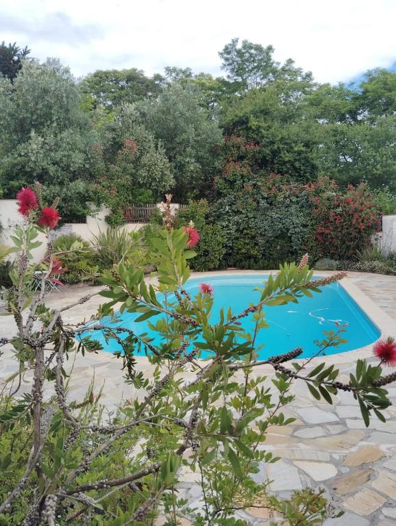 - une piscine dans un jardin fleuri dans l'établissement La Fontaine du Pas, dans Villa, 2 chambres Piscine 11x5, à Mauvezin-sur-Gupie