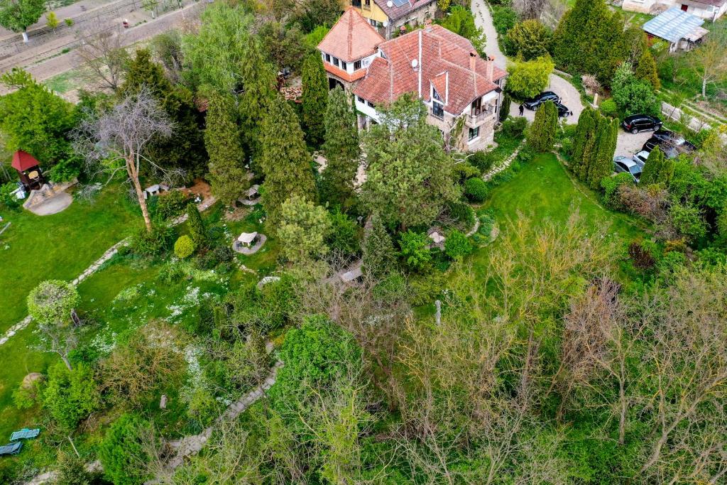 an aerial view of a large house with trees at Villa Castelul Maria in Banpotoc