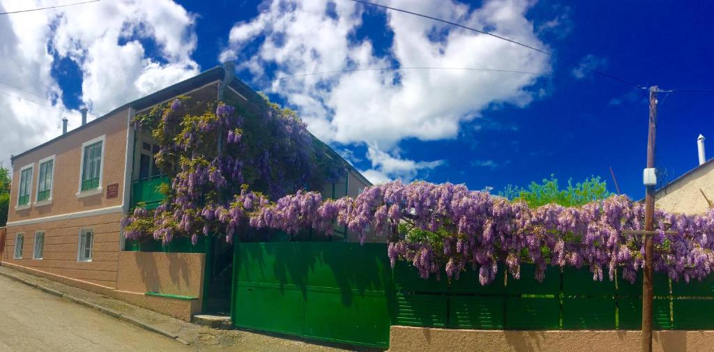 un edificio con flores púrpuras a su lado en GuestHouse Natali, en Telavi