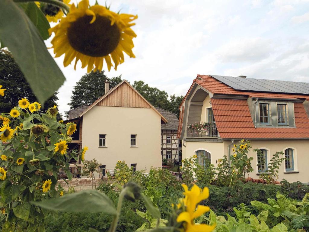 a house and a sunflower in front of a house at Ferienhof NaturZeit in Horsmar